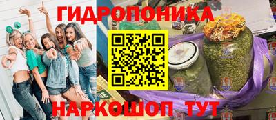 гидра Рузаевка
