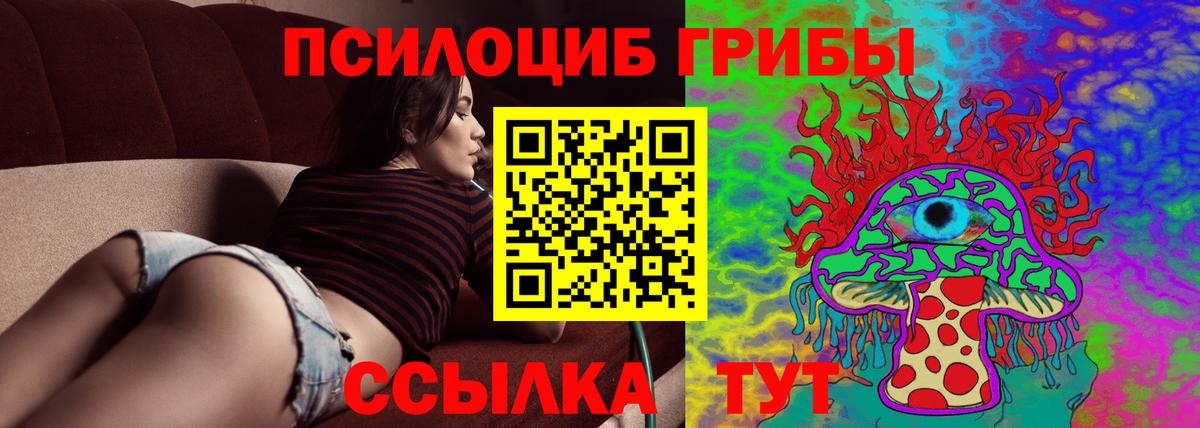 Сибай  Галлюциногенные грибы GOLDEN TEACHER  Вход с VPN 