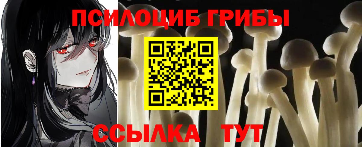 Псилоцибиновые грибы Psilocybine cubensis Сибай